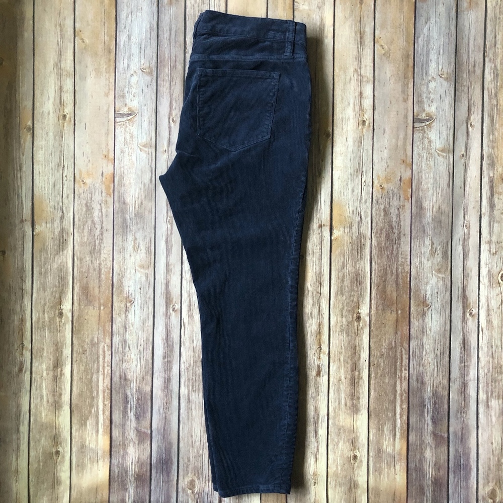 J Crew Petite Navy Toothpick Cords Ankle 30P